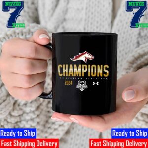 United Football League 2024 UFL Champions Are Birmingham Stallions x Under Armour Mug